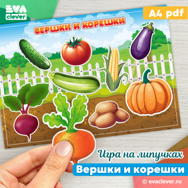 вершки и корешки игра на липучках шаблон для печати