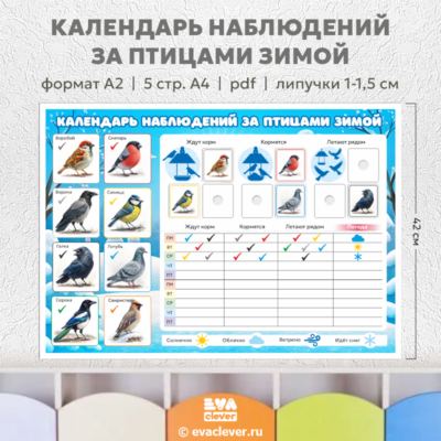 календарь наблюдений за птицами зимой шаблон для печати