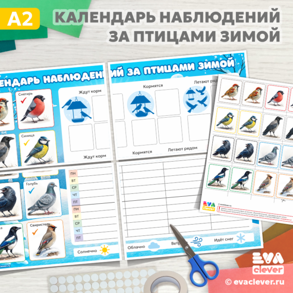 календарь наблюдений за птицами зимой шаблон для печати