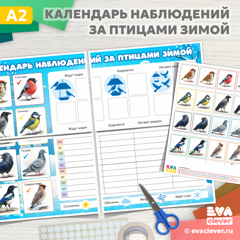 календарь наблюдений за птицами зимой шаблон для печати