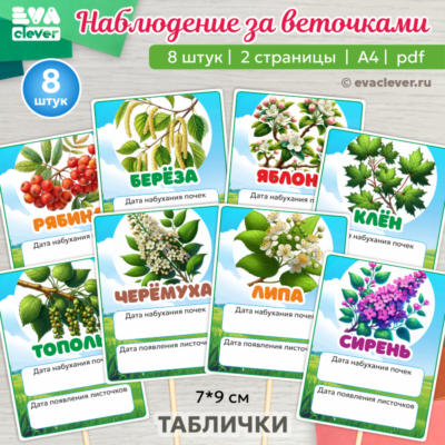 наблюдение за веточками шаблон для печати таблички для маркировки