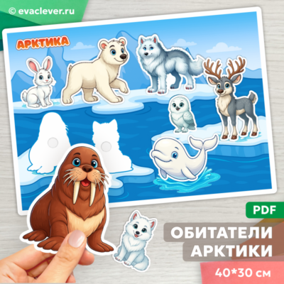 животные севера арктика найди тень дидактическая игра на липучках шаблон для печати