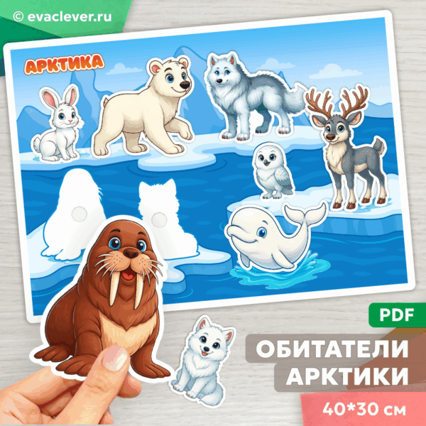животные севера арктика найди тень дидактическая игра на липучках шаблон для печати