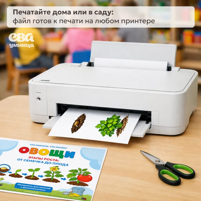 овощи развитие растений шаблон для печати