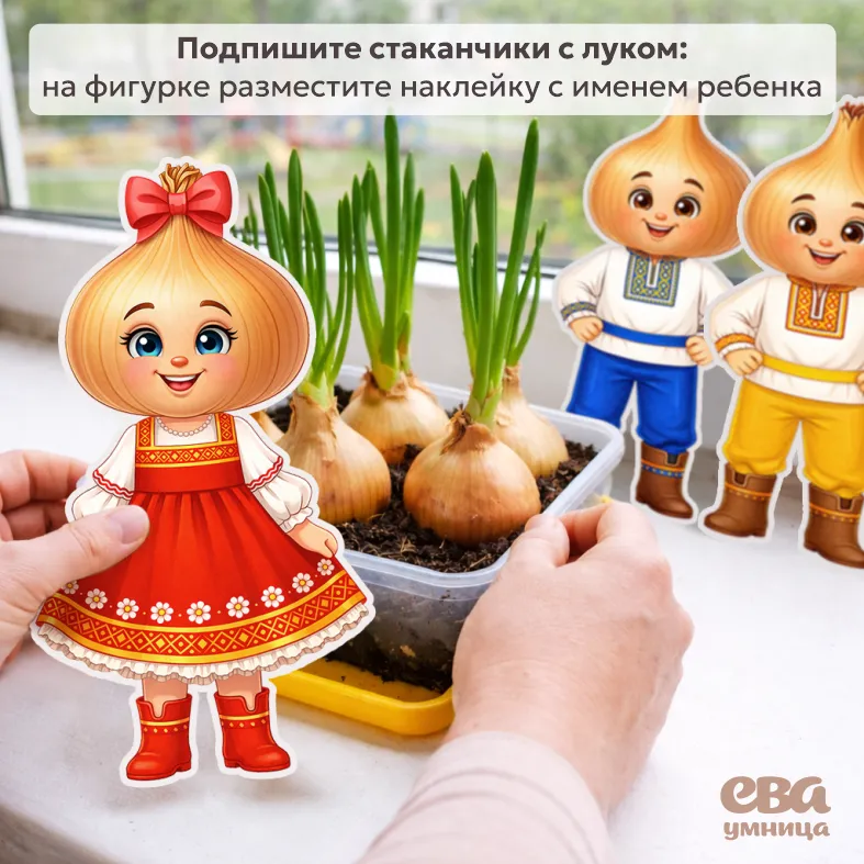 лук на окне посадка в детском саду подписать стаканчики