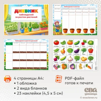 наблюдение за растениями в детском саду шаблон PDF для печати