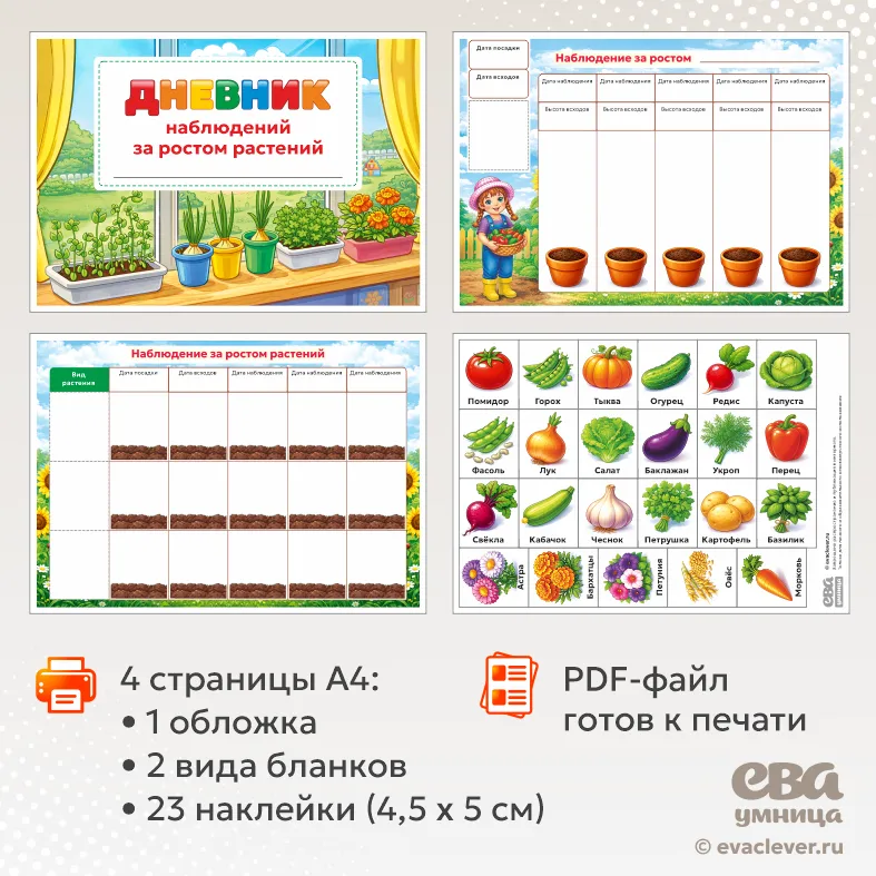 наблюдение за растениями в детском саду шаблон PDF для печати
