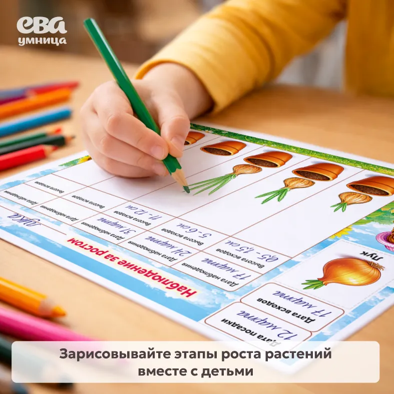 дневник наблюдения за растениями в ДОУ шаблон скачать